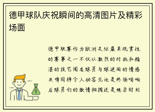 德甲球队庆祝瞬间的高清图片及精彩场面